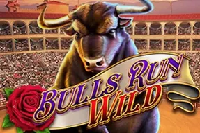 Bulls Run Wild