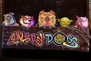 Angry Dogs